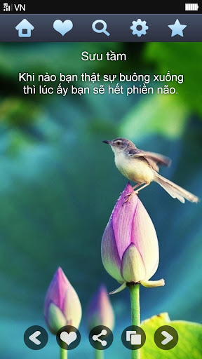 【免費生活App】Phật Ngôn - Lời Kinh Phật Giáo-APP點子