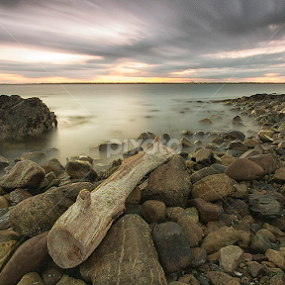 wood and rocks by Jozef Svintek - Landscapes Sunsets & Sunrises
