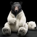 Cool Funny Pics i logo
