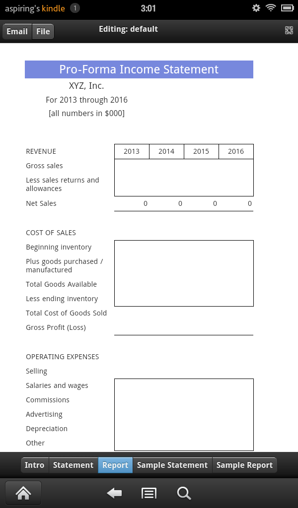Proforma Income Statement Screen 2