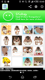 Stickey Smart Squirrel poster 6