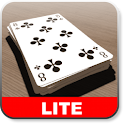 CrazyEights LITE logo