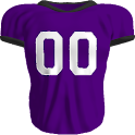 Baltimore Ravens News logo