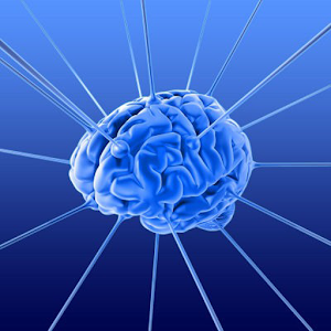 Дитлоиды.apk 1.0.1