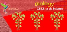 Gujarati 11 Biology Semester1 APK