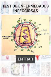 infectious diseases test poster 13