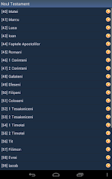 Romanian Holy Bible poster 14