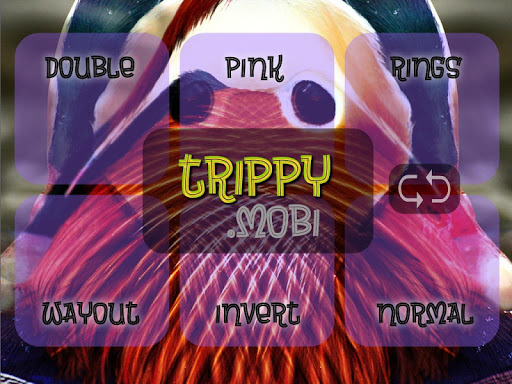 【免費生活App】Trippy!-APP點子