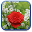 Rose Live Wallpaper Download on Windows