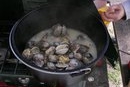 Steamer Clams