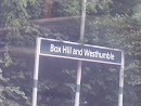 Box Hill and Westhumble Station