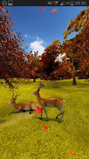 Deer and Foliage Trial