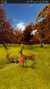 Lastest Deer and Foliage Trial APK