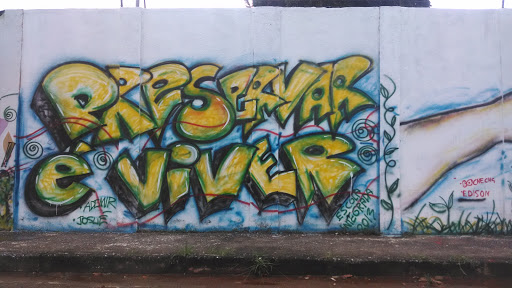 Grafite Preservar É Viver