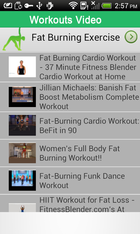 Fat Burning Exercise Videos Free