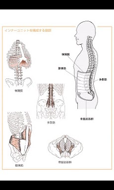 腰痛を予防・改善するエクササイズがわかるのおすすめ画像3