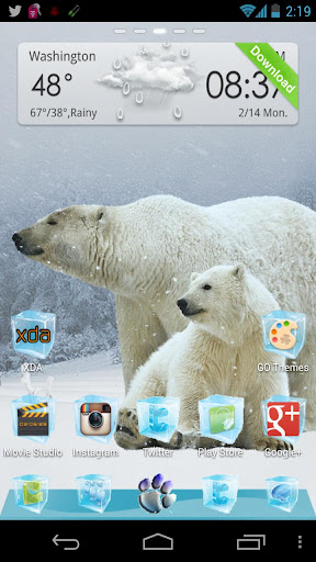 Polar Bear Winter GO Launcher