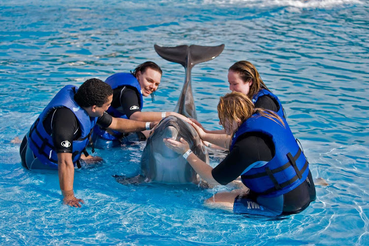 Dolphin time in Cabo San Lucas, Mexico. 