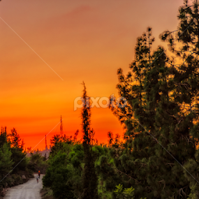 Sky on fire by Robert Namer - Landscapes Forests
