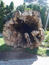 The Tree Cave Sculpture