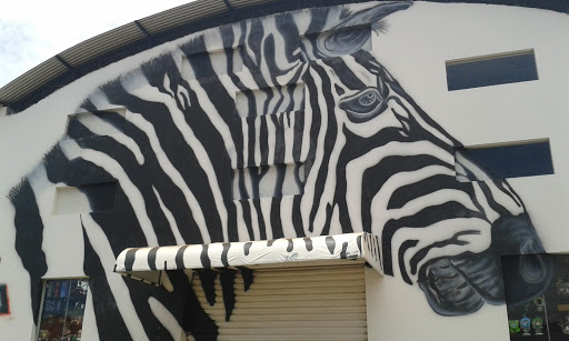 Zebra Tem De Tudo