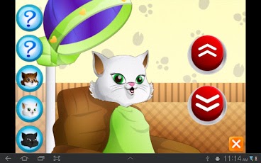 �������� Pet ����� ���������