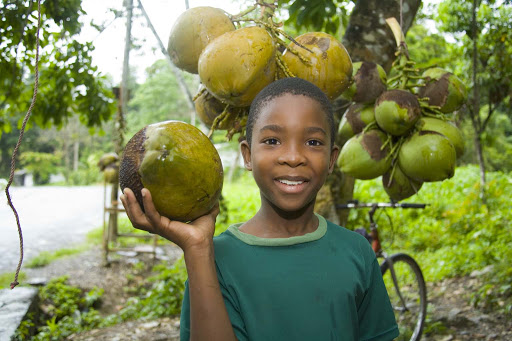 fruit-stand-Jamaica - A boy at a fruit stand in Jamaica. 