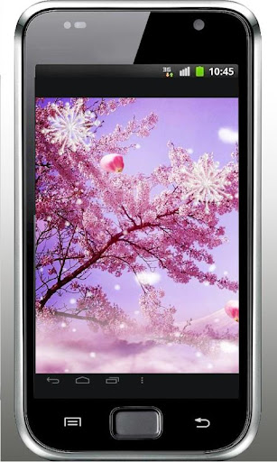 Winter Sakura live wallpaper