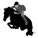 競馬ブログリーダー logo