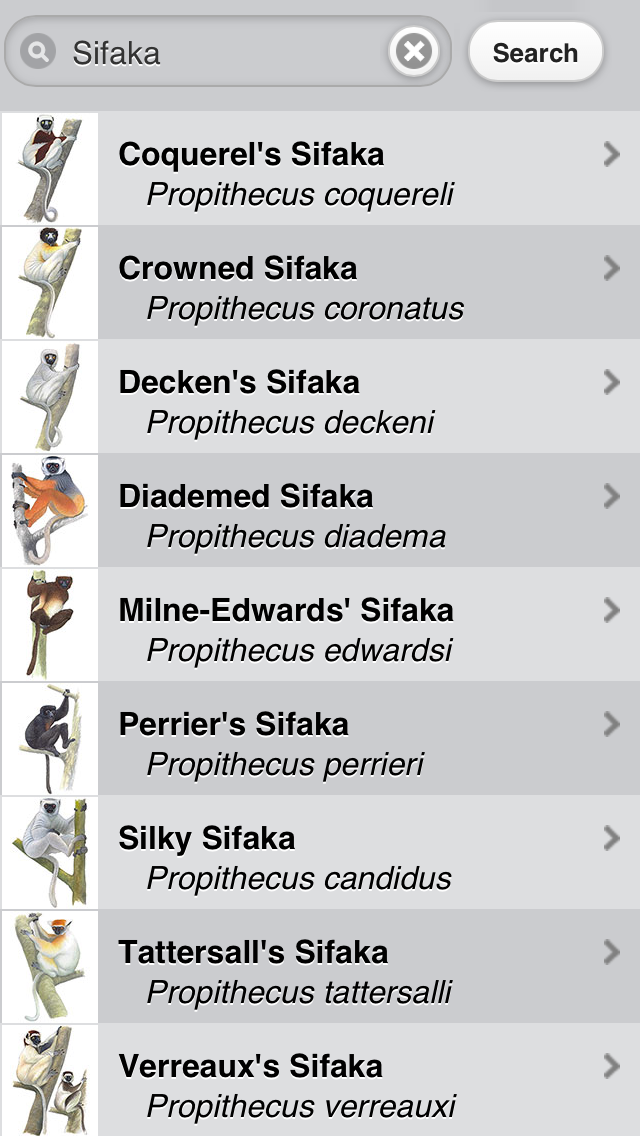 Lemurs of Madagascar Screen 2