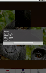 Monkey Puzzle Screenshots 3