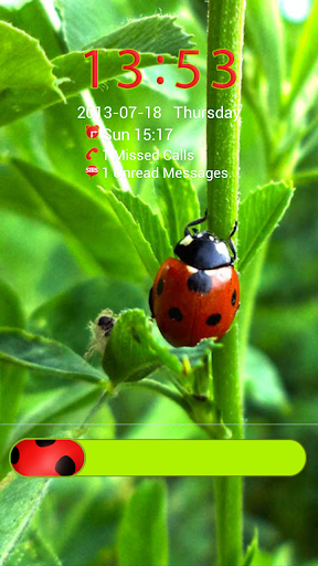 Ladybird Theme for GO Locker