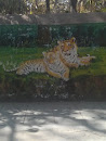 Happy Tigers Wall Art