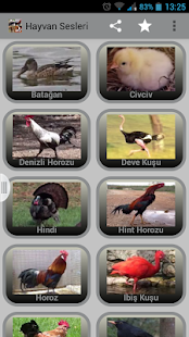 Hayvan Sesleri Screenshots 1