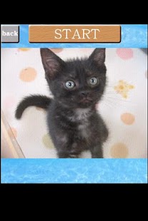 How to get puzzle Cat game2 1.0.2.2 mod apk for laptop