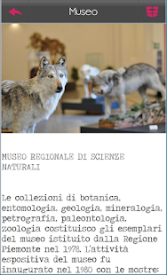 Free Download Torino Life APK