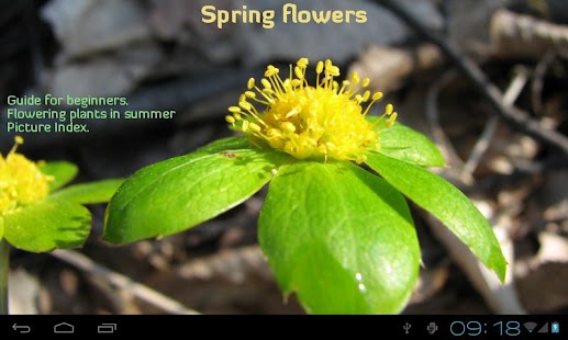 How to install Spring Flowers 2.6 unlimited apk for android