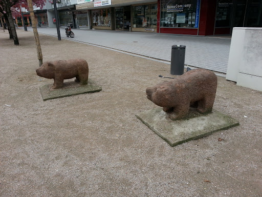 Bären Am Berliner Platz