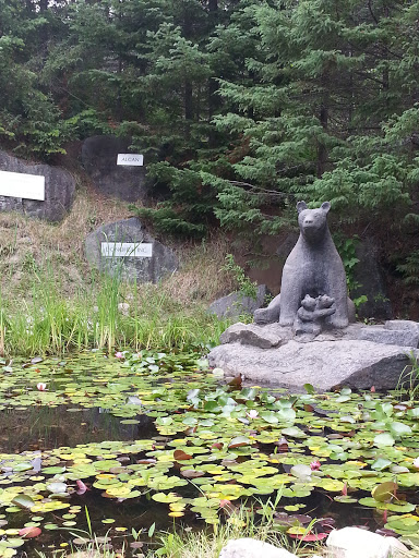 L'étang De L'ours Noir