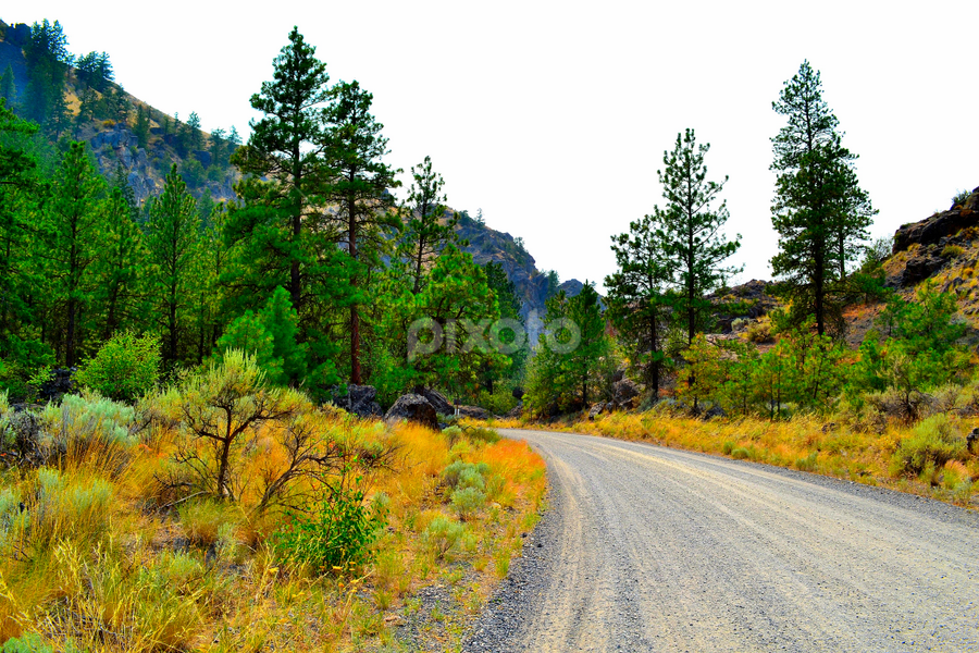 Into The Hills by Julia Arredondo - Landscapes Forests