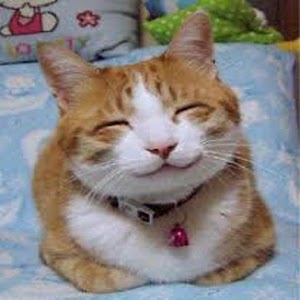 кг: правила Как 5 неделю на и эффективные. похудеть за
