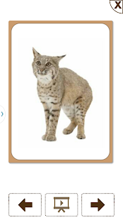 How to download Montessori Cards Lite lastet apk for android