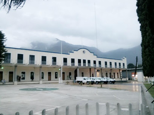 Palacio Municipal De Nogales