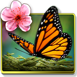 Season Zen HD v1.9.5.2033