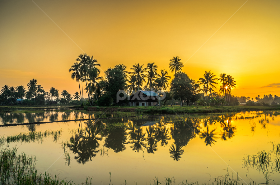 by Mohamad Subri Mohd Noor - Landscapes Waterscapes