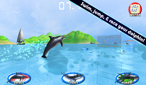 【免費教育App】Dolphin Swim & Play Game-APP點子