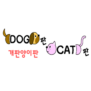 개판양이판 