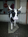 Solothurn Cow