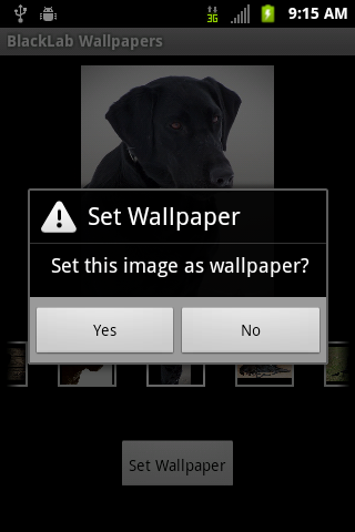 【免費個人化App】Black Labrador Wallpapers-APP點子