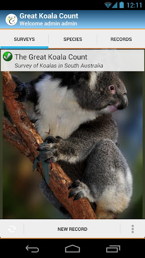 Great Koala Count